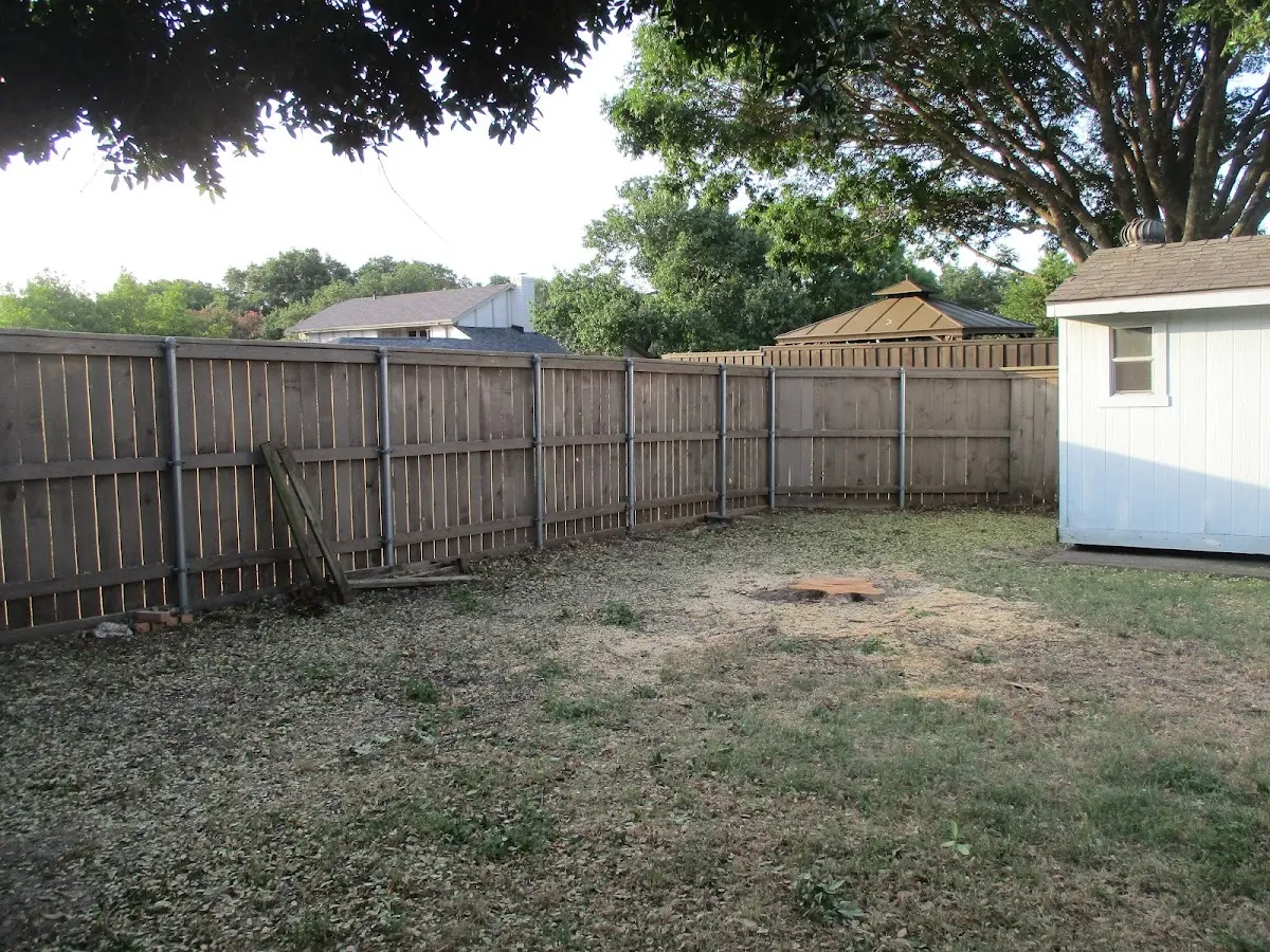 Cleared yard after professional tree removal in Cherry Creek