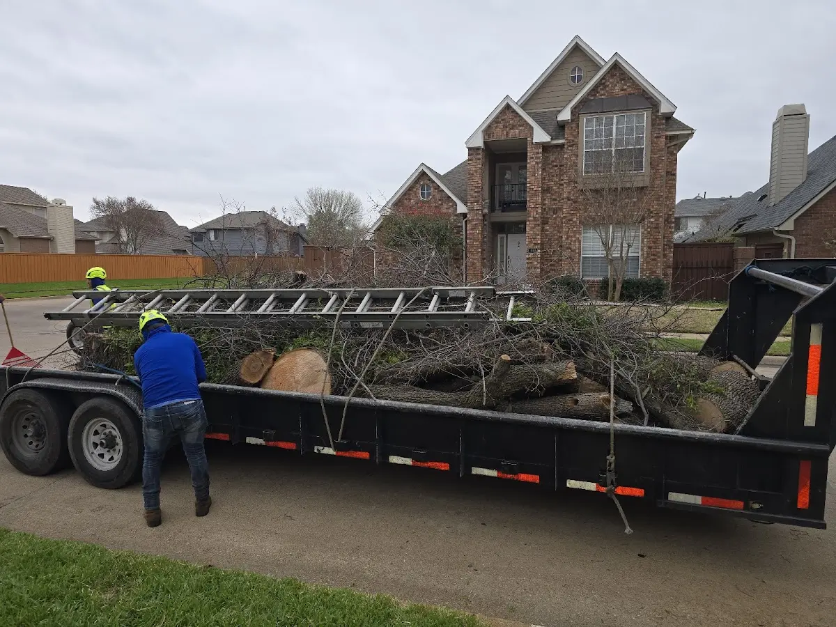 Expert Lot Clearing with proper safety equipment in Cherry Creek